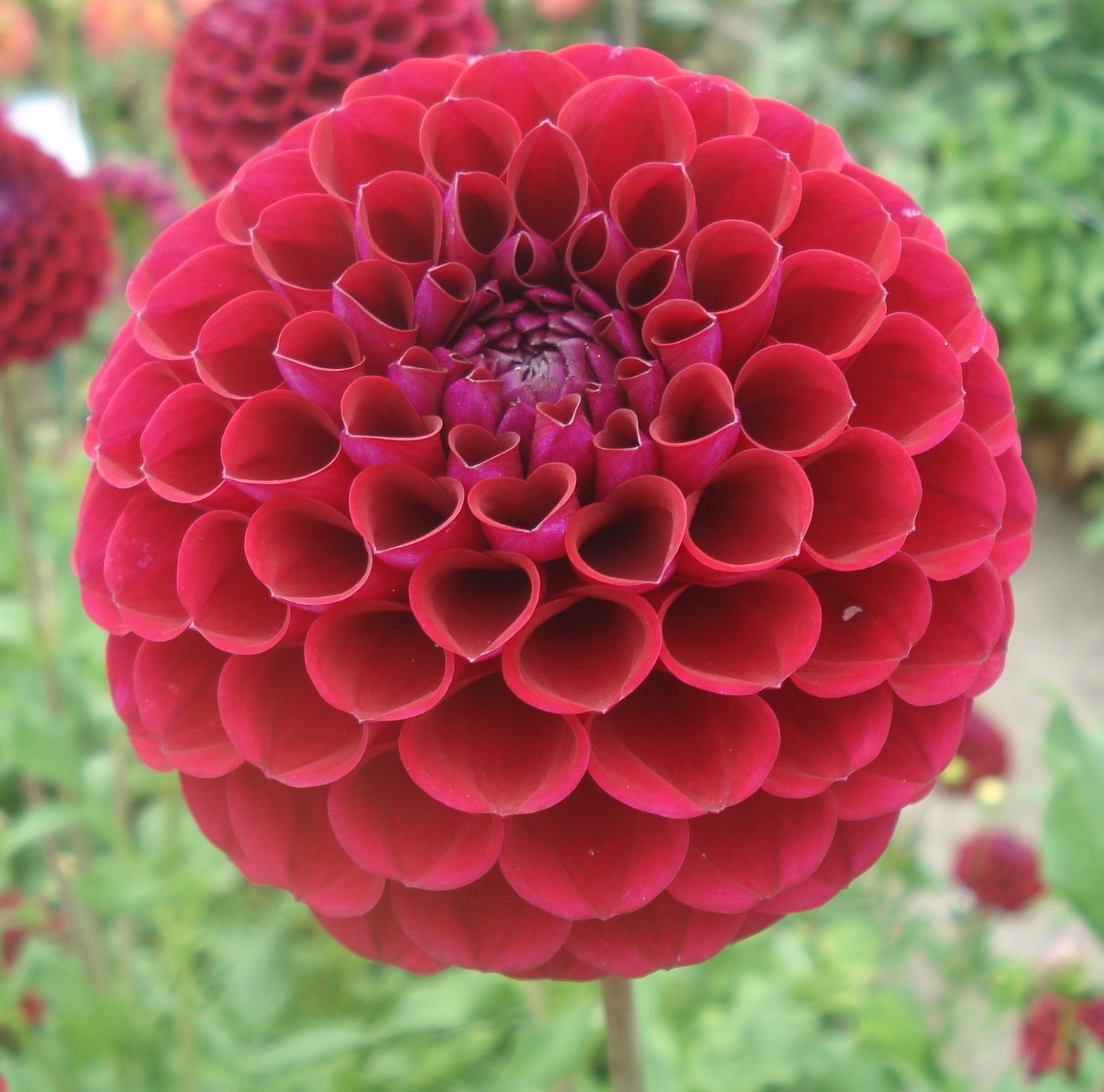 Amy Cave.jpg (72036 bytes)